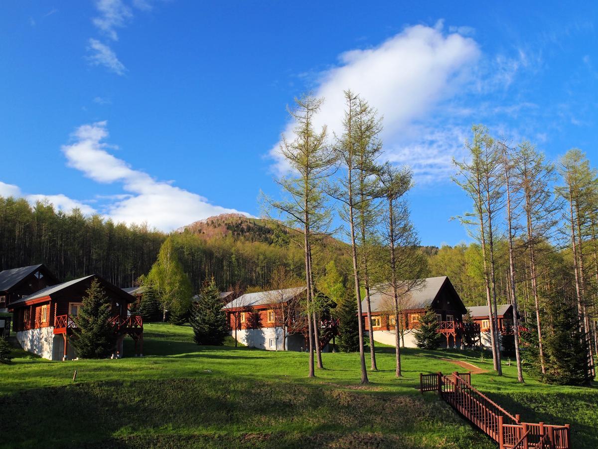 Minamifurano Log Hotel Larch Lake Kanayama חדר תמונה
