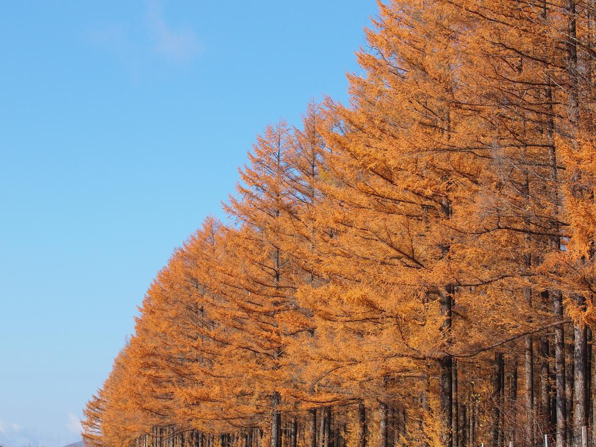 Minamifurano Log Hotel Larch Lake Kanayama מראה חיצוני תמונה