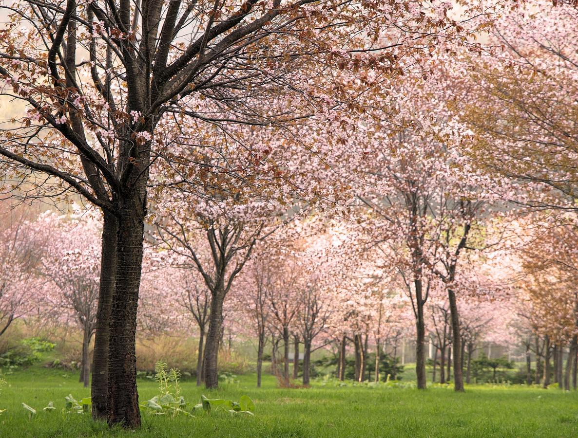 Minamifurano Log Hotel Larch Lake Kanayama מראה חיצוני תמונה